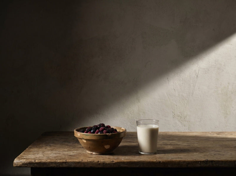 NØRSE CØDE vs Transparent Labs Organic Vegan Protein: Full Comparison - NØRSE CØDE