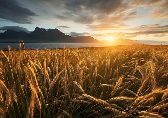 Plant vs. Whey: What the Environmental Difference Actually Is - NØRSE CØDE